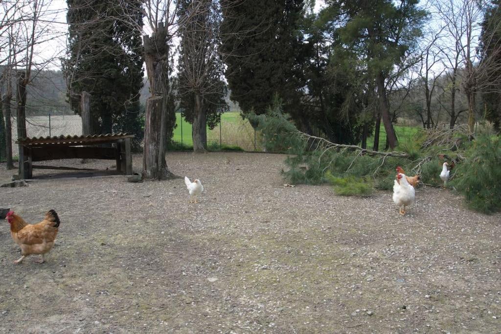 Casa Vacanze Podere San Giusto Volterra Exterior photo
